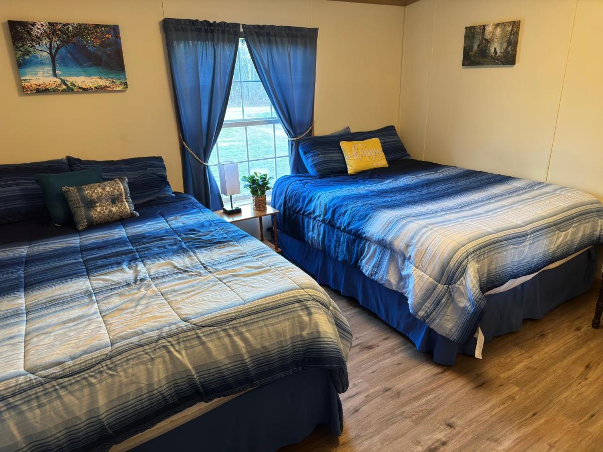 Spacious Cozy Getaway ! King Bed, Game Room, Out Door Patio Cairo Exteriér fotografie